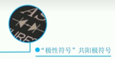 微信图片_20240607152053